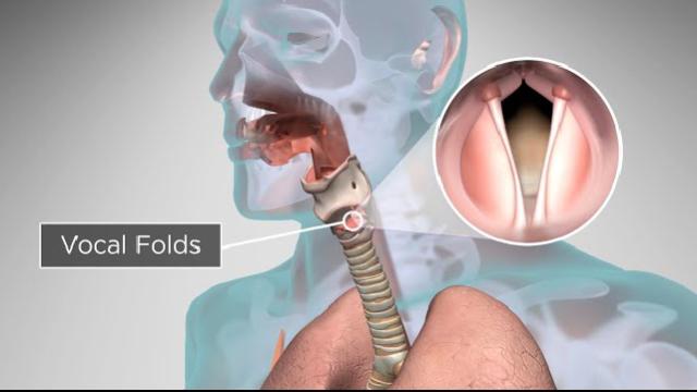 A video titled, “How does our body produce voice and speech?”